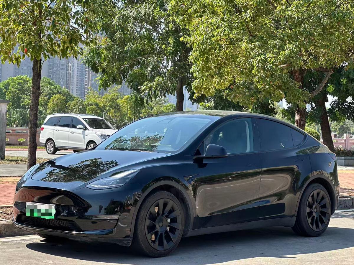 Tesla Model Y 2022 Tesla Model Y 2022 صورة سيارة