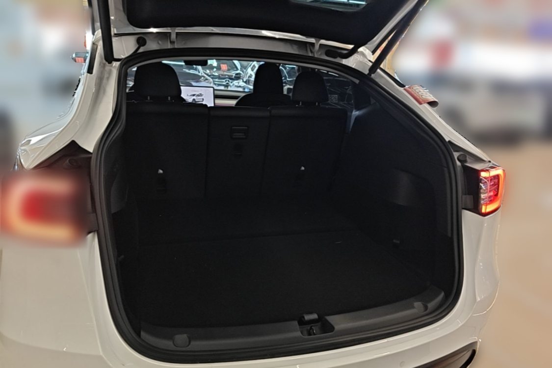 Tesla Model Y 2024 car image #5