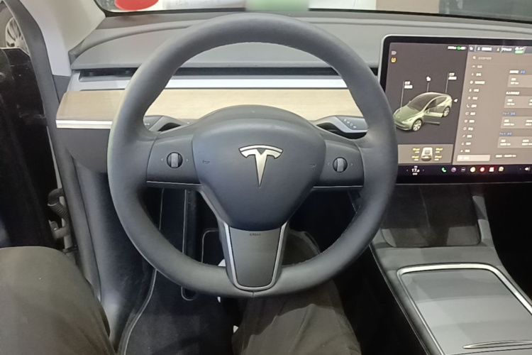 Tesla Model Y 2021 car image #11