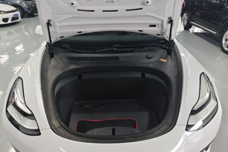 Tesla Model 3 2020 #20 Tesla Model 3 2020 car image #20