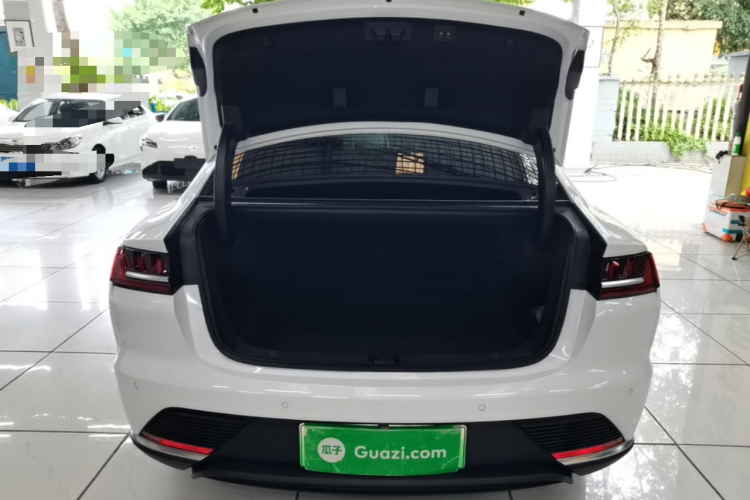BYD Han 2022 car image #19