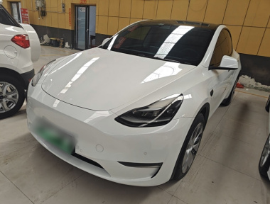 Tesla Model Y 2021 Tesla Model Y 2021 car image