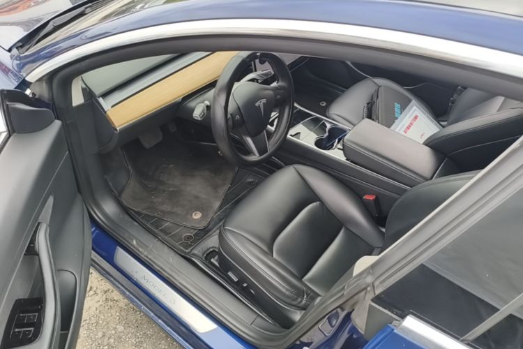 Tesla Model 3 2020 car image #12