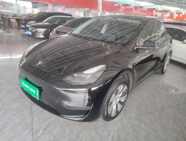 Tesla Model Y 2021 imagem de carro 