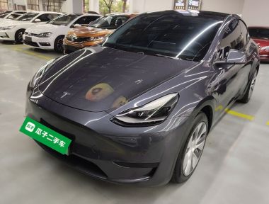 Tesla Model Y 2022 Tesla Model Y 2022 car image