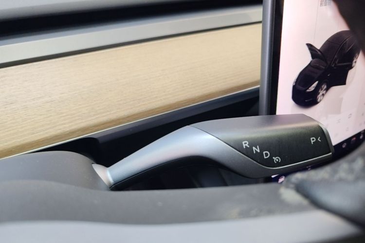 Tesla Model Y 2022 car image #14