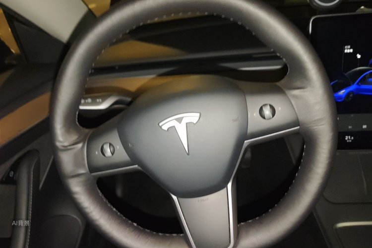 Tesla Model 3 2021 car image #12