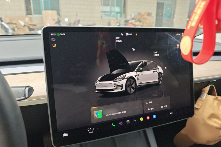 Tesla Model 3 2022 car image #16