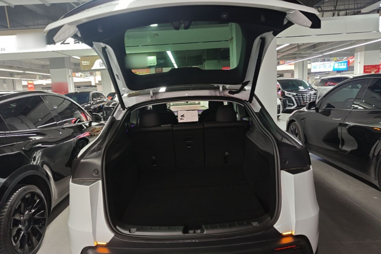 Tesla Model Y 2025 #19 Tesla Model Y 2025 car image #19