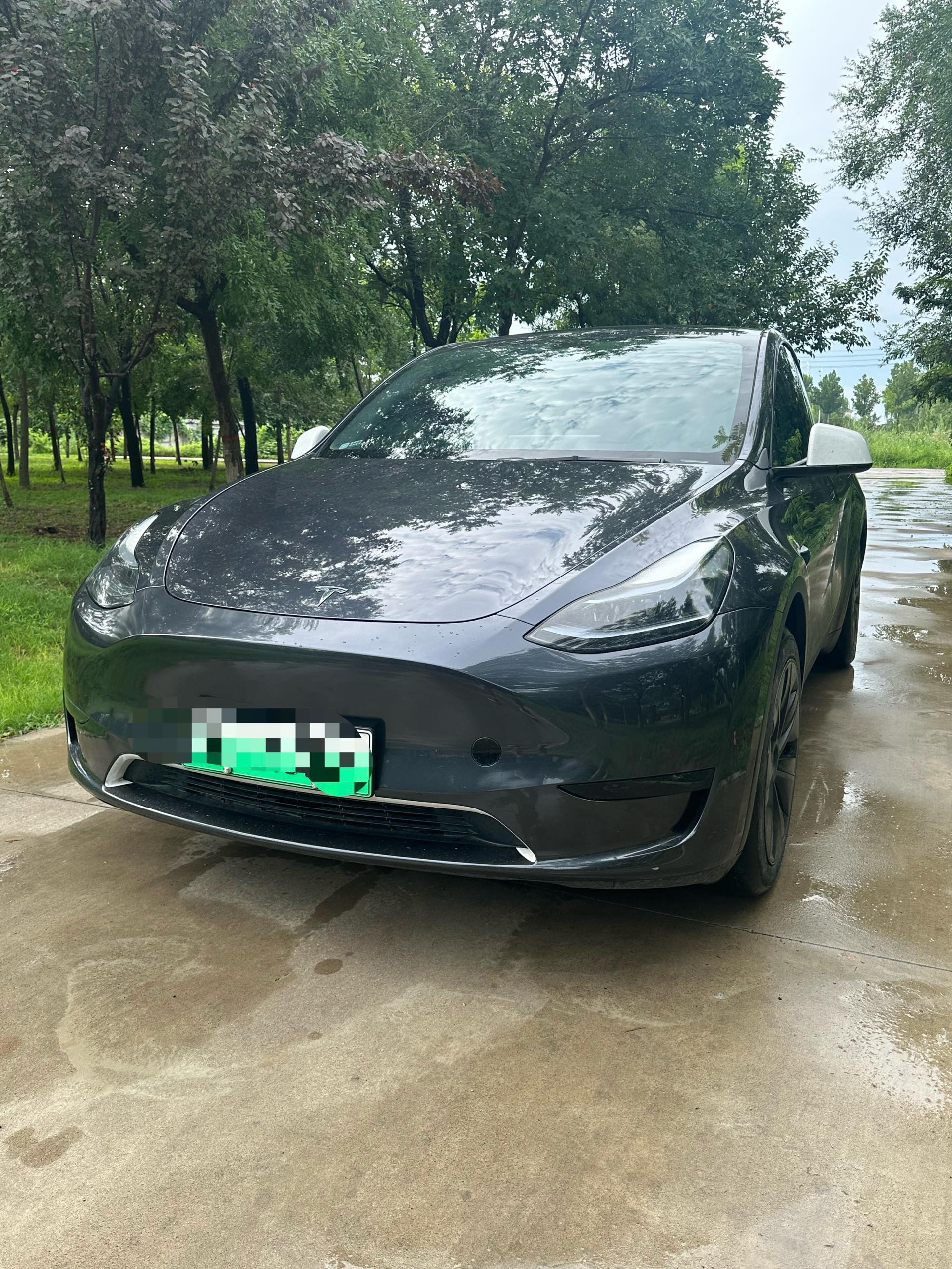 Tesla Model Y 2024 Tesla Model Y 2024 car image