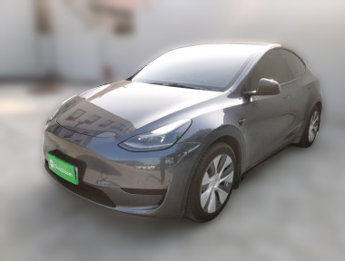 Tesla Model Y 2022 Tesla Model Y 2022 car image