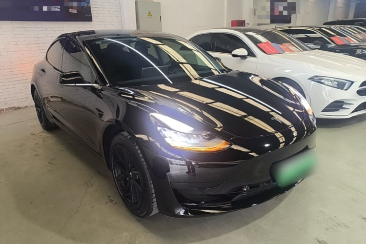 Tesla Model 3 2020 car image #4