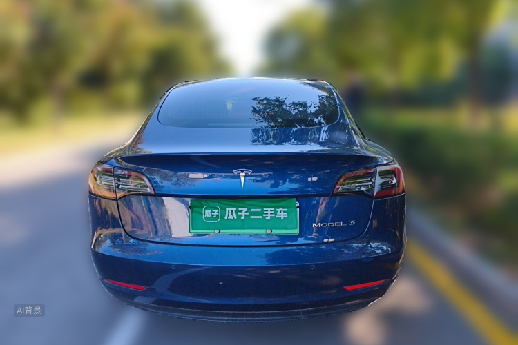 Tesla Model 3 2020 #6 Tesla Model 3 2020 car image #6
