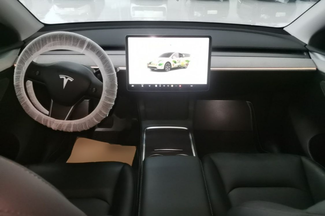 Tesla Model Y 2024 car image #10
