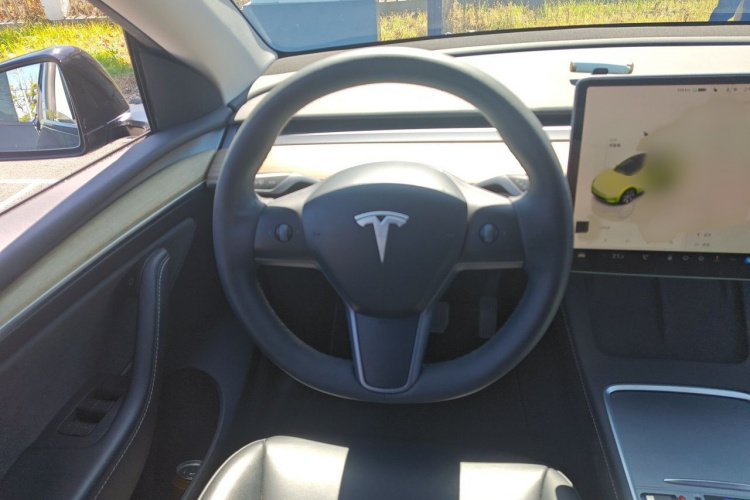 Tesla Model Y 2022 #15 Tesla Model Y 2022 car image #15