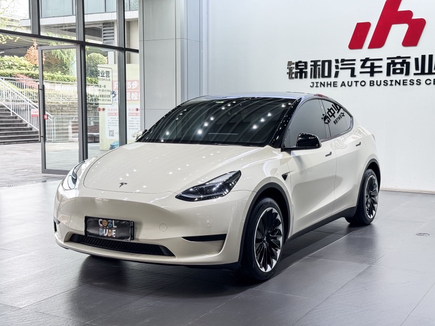 Tesla Model Y 2024 car image 