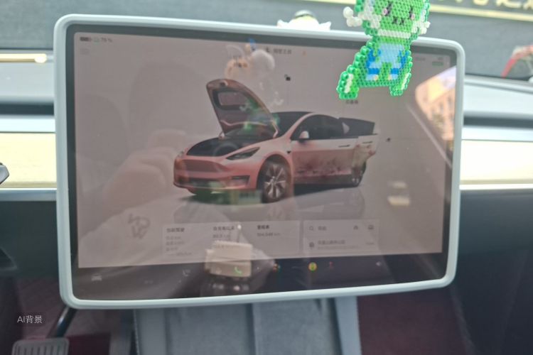 Tesla Model Y 2022 car image #13