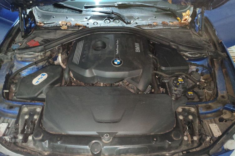BMW 3 Series 2017 immagine di auto #22