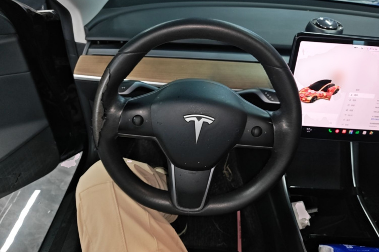Tesla Model 3 2020 car image #11
