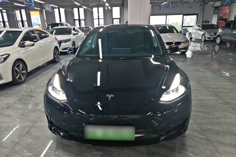 Tesla Model 3 2021 car image #3