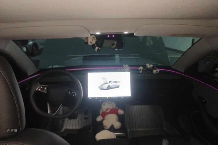 Tesla Model 3 2023 car image #20