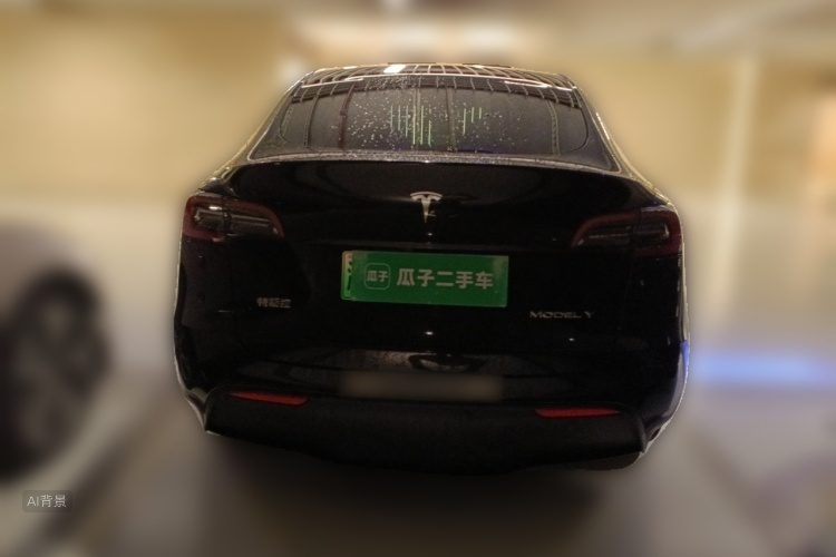 Tesla Model Y 2021 car image #6