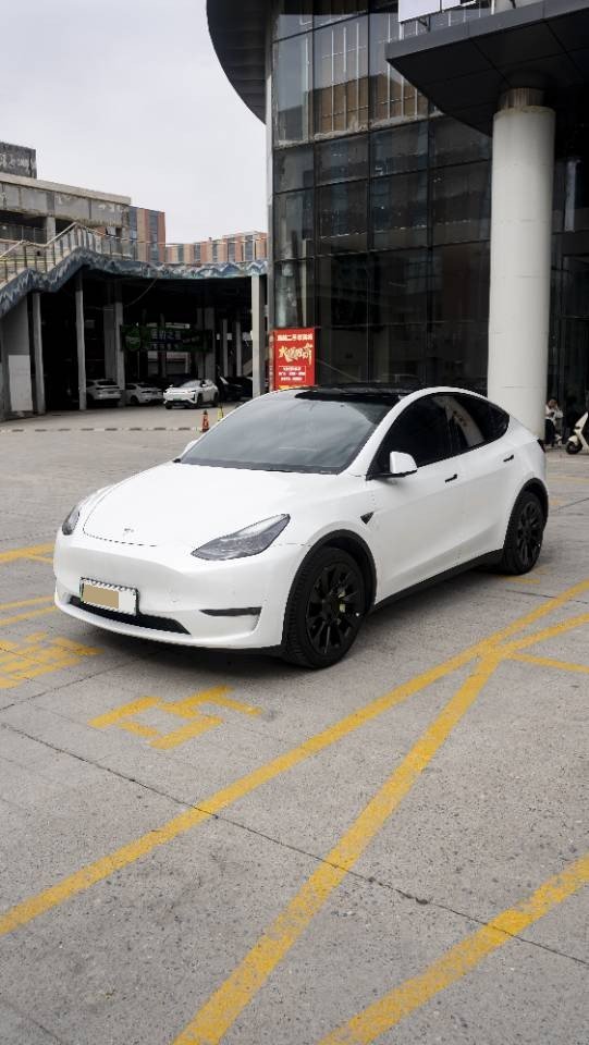 Tesla Model Y 2021 immagine di auto 