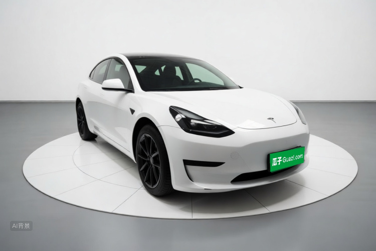 Tesla Model 3 2022 car image #4