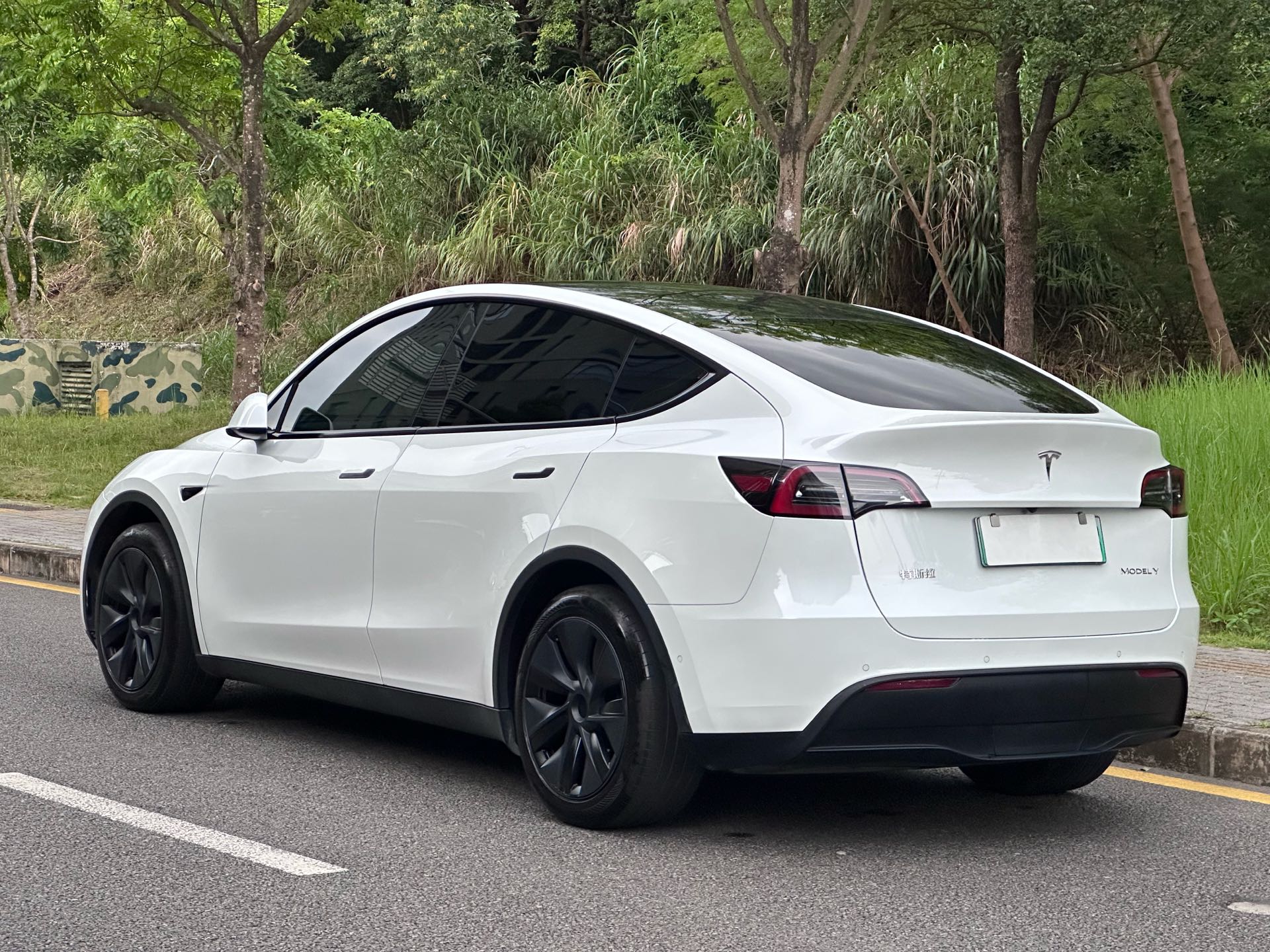 Tesla Model Y 2024 #8 Tesla Model Y 2024 car image #8