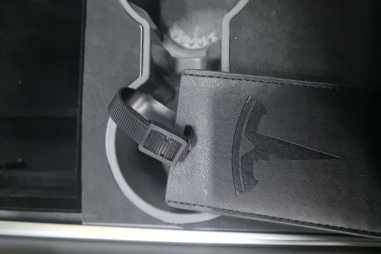 Tesla Model 3 2022 immagine di auto #9