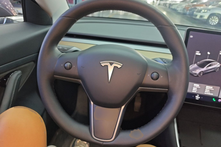 Tesla Model 3 2020 car image #11