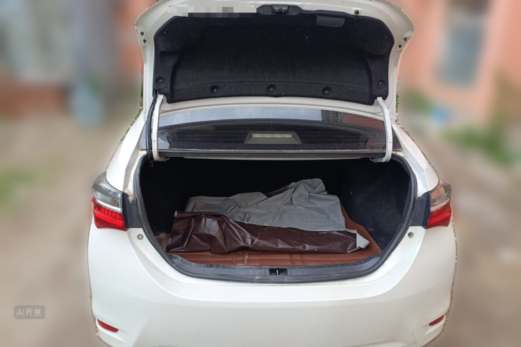 Toyota Corolla 2017 car image #21