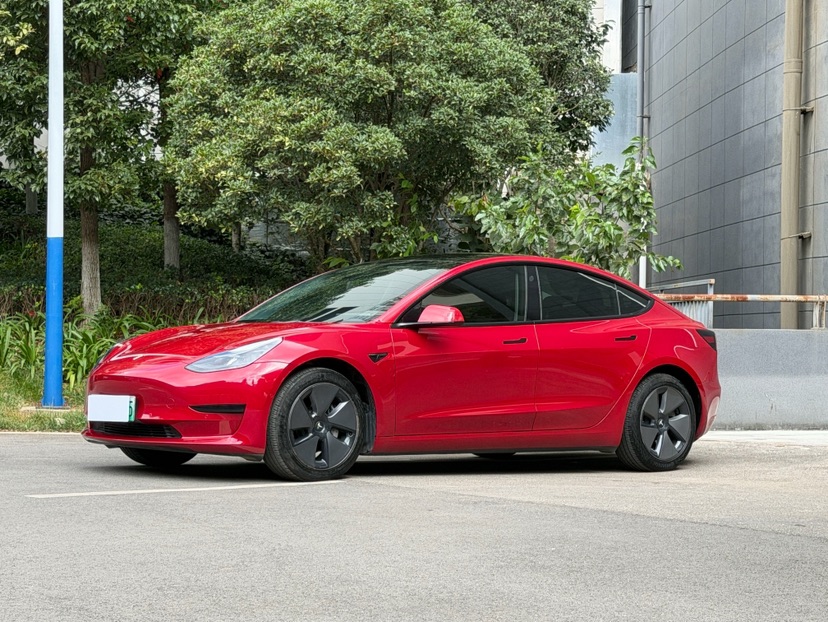 Tesla Model 3 2021 Tesla Model 3 2021 car image