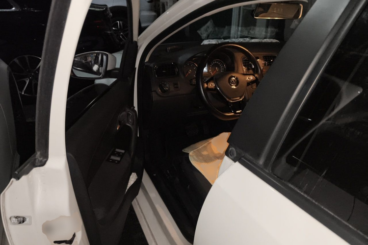 Volkswagen Polo 2016 car image #18