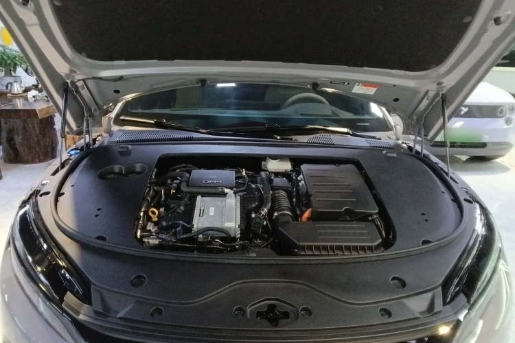 BYD Han 2024 car image #20
