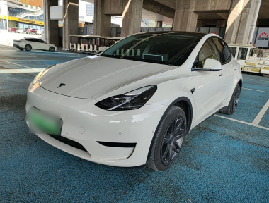Tesla Model Y 2023 Tesla Model Y 2023 car image