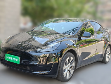 Tesla Model Y 2023 Tesla Model Y 2023 car image