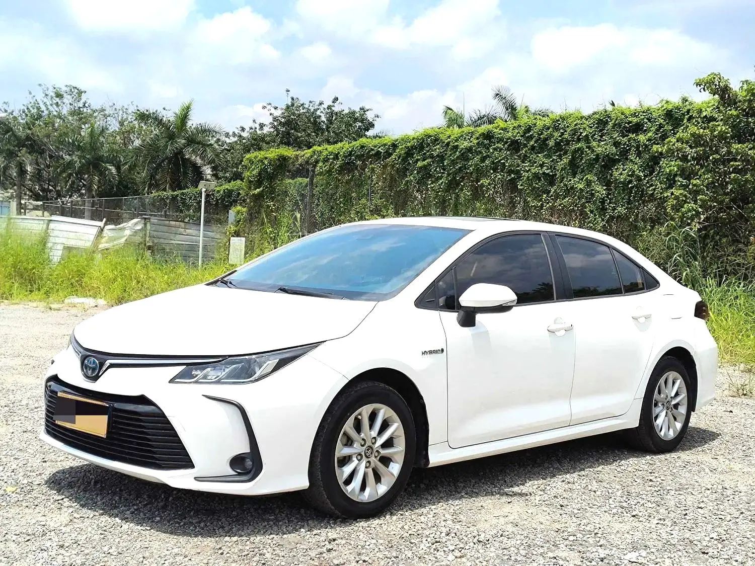 Toyota Corolla 2020 car image 