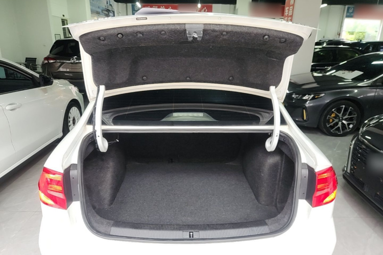 2020 #19 2020 car image #19
