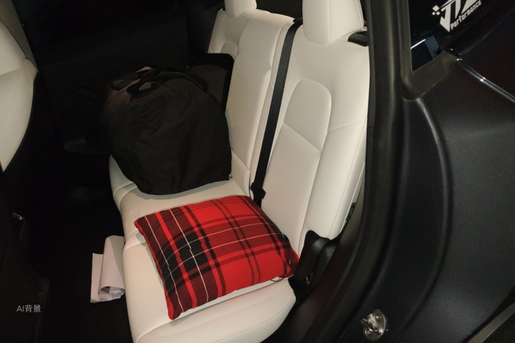 Tesla Model Y 2022 car image #19