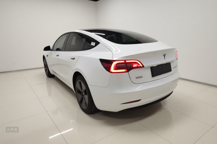 Tesla Model 3 2021 car image #5