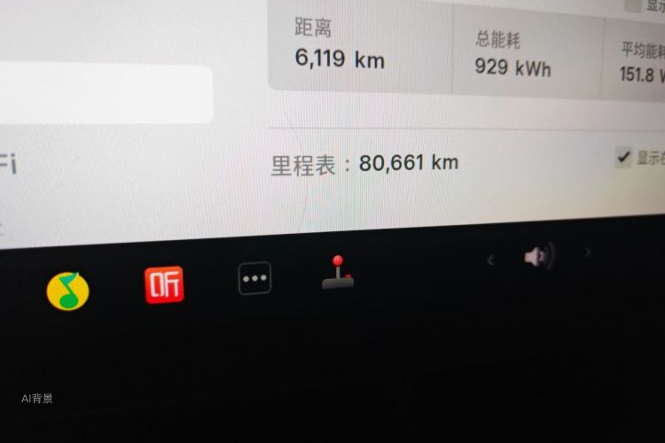 Tesla Model 3 2021 car image #14