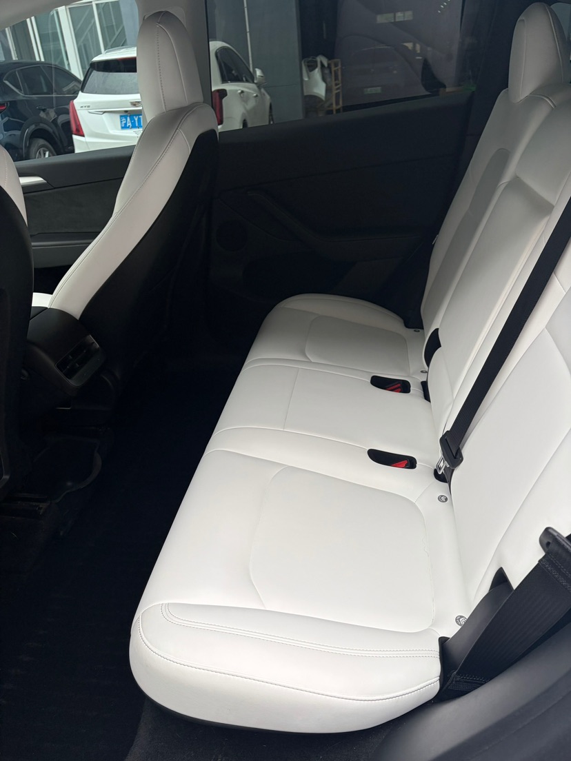 Tesla Model Y 2021 car image #6