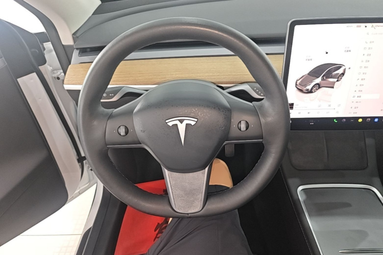 Tesla Model Y 2022 car image #11