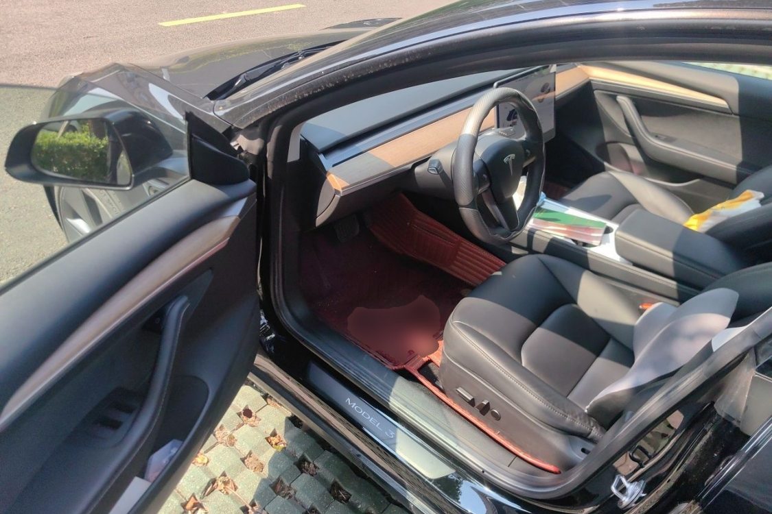 Tesla Model 3 2021 imagem de carro #23