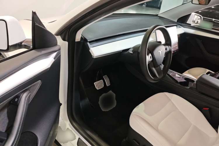 Tesla Model Y 2021 car image #12