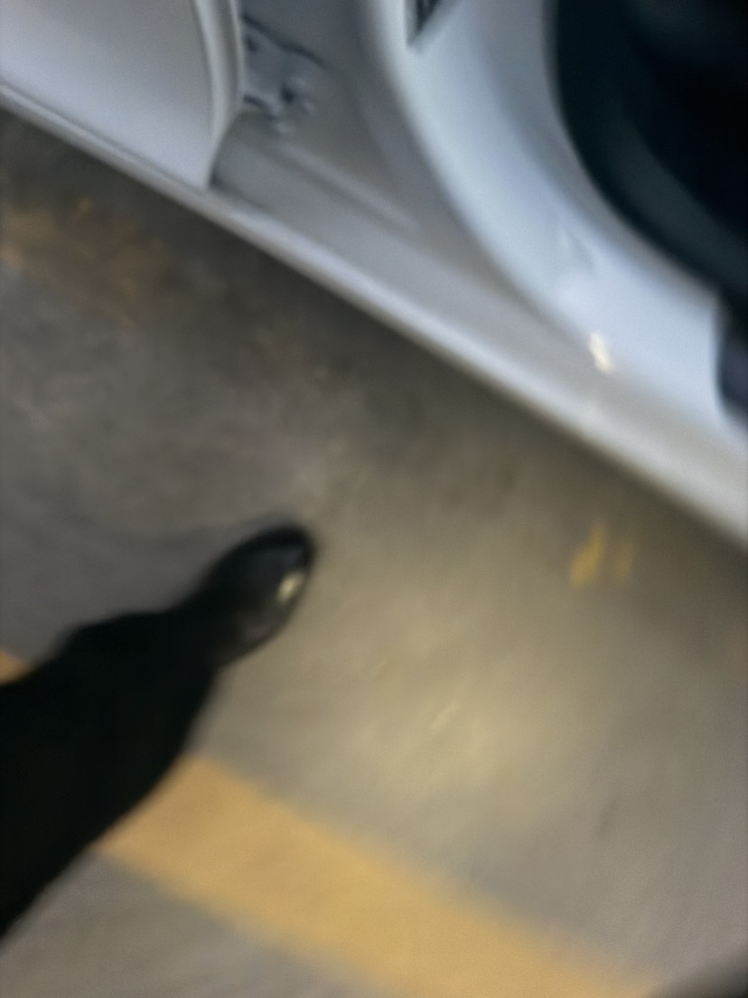 Tesla Model 3 2024 car image #6
