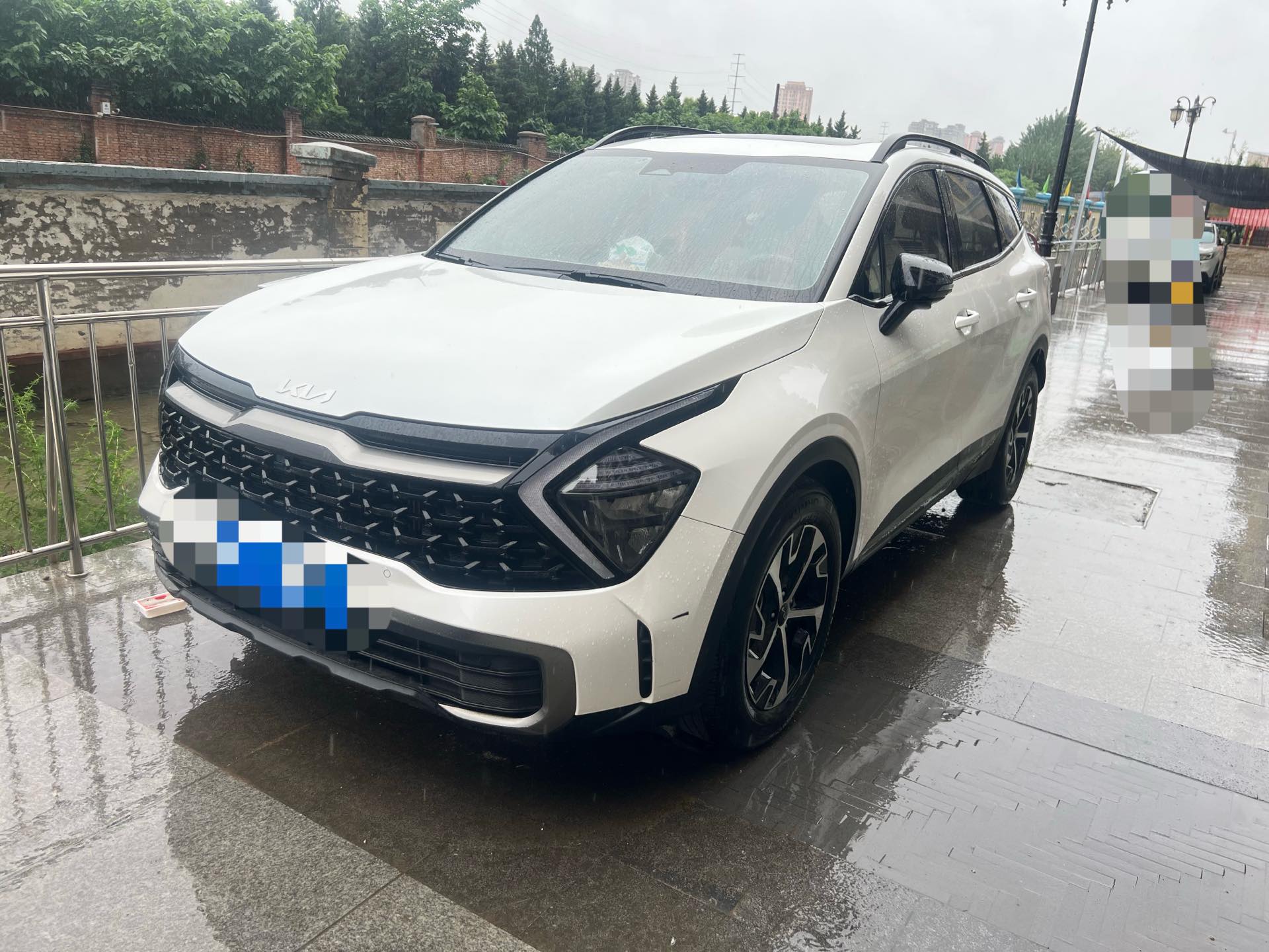 Kia Sportage 2023 Kia Sportage 2023 汽车图片