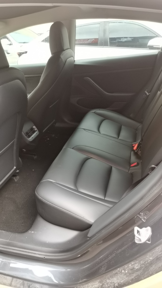 Tesla Model 3 2020 car image #4