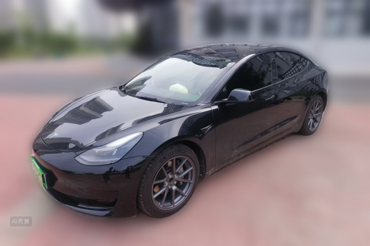 Tesla Model 3 2021 car image #2
